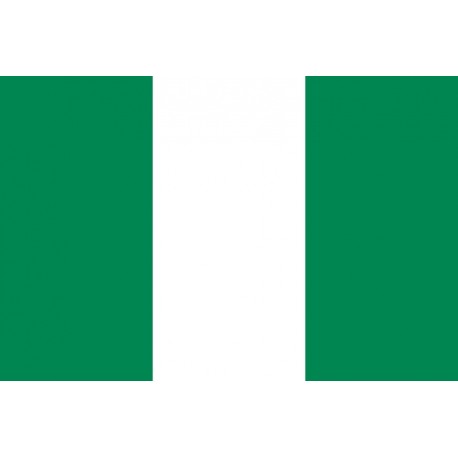 Steag Nigeria