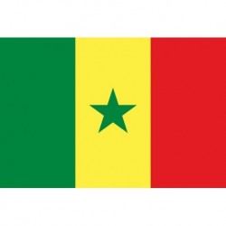 Steag Senegal