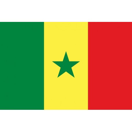 Steag Senegal