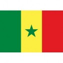 Steag Senegal
