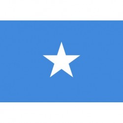 Steag Somalia