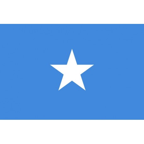 Steag Somalia
