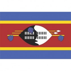 Steag Swaziland