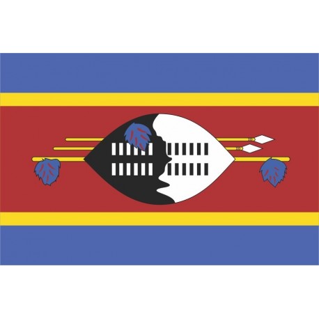 Steag Swaziland