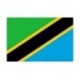 Steag Tanzania