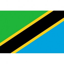 Steag Tanzania
