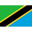 Steag Tanzania