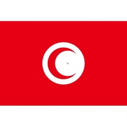 Steag Tunisia