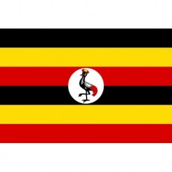 Steag Uganda