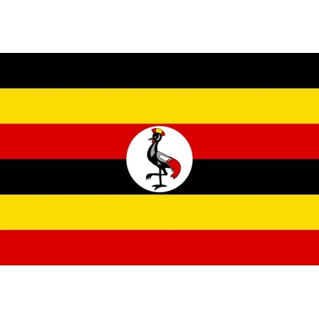 Steag Uganda