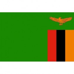 Steag Zambia
