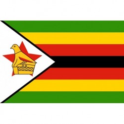 Steag Zimbabwe