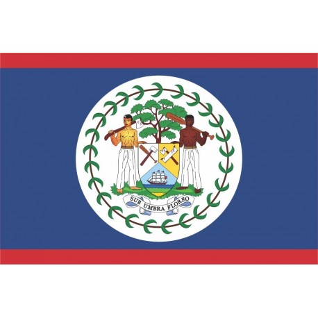 Steag Belize