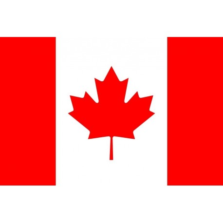 Steag Canada