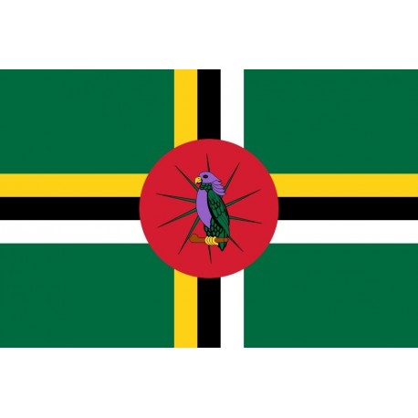 Steag Dominica