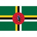 Steag Dominica