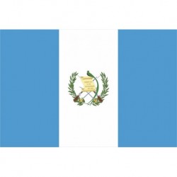 Steag Guatemala