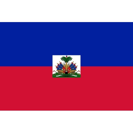 Steag Haiti