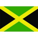 Steag Jamaica