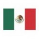 Steag Mexic