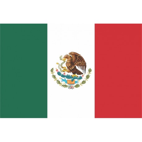 Steag Mexic