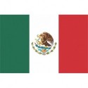 Steag Mexic