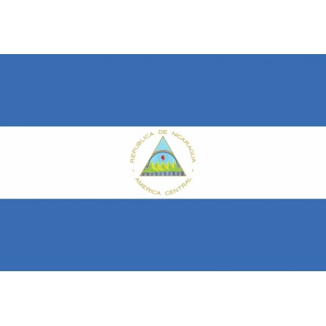 Steag Nicaragua