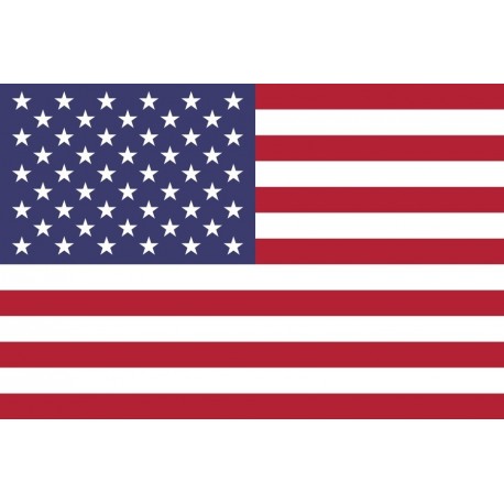 Steag Statele Unite ale Americii