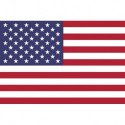 Steag Statele Unite ale Americii