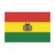 Steag Bolivia