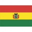 Steag Bolivia