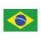 Steag Brazilia