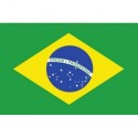 Steag Brazilia