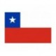 Steag Chile