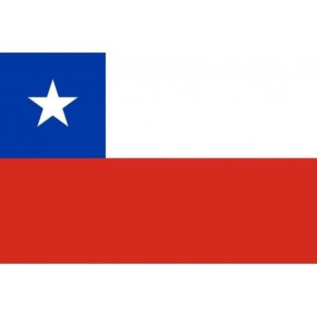 Steag Chile
