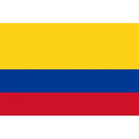 Steag Colombia