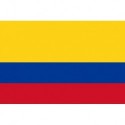 Steag Colombia