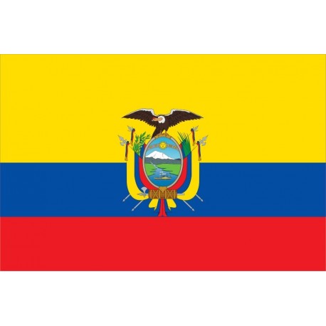 Steag Ecuador