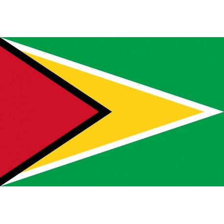 Steag Guyana