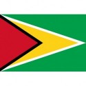 Steag Guyana