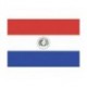 Steag Paraguay