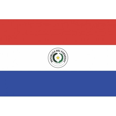 Steag Paraguay