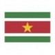 Steag Surinam