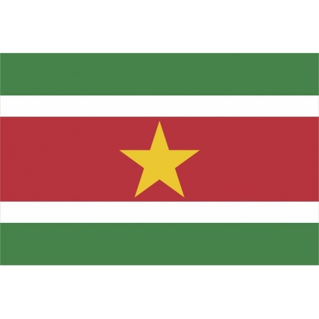 Steag Surinam