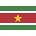 Steag Surinam