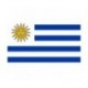 Steag Uruguay