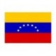 Steag Venezuela