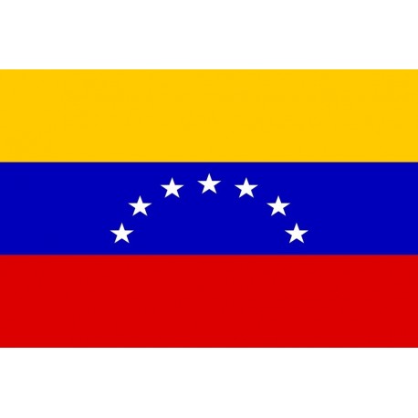 Steag Venezuela