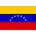 Steag Venezuela