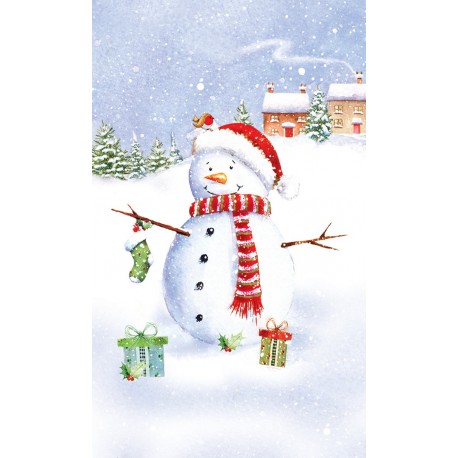 Pungi de iarna si sarbatori